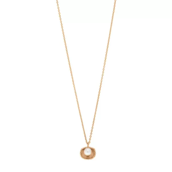 Leaf Jewelry Halskette Muschel mit Perle, 18 K Rosegold vergoldet Letzter Tag