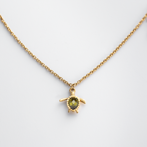 Paul Hewitt Turtle Mono Halskette Gold Neueste Mode