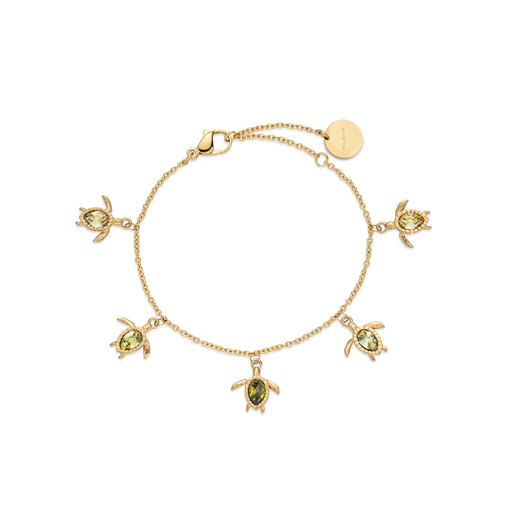 Paul Hewitt Turtle World Turtle Day Armkette Gold Tägliche Deals