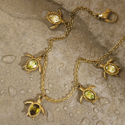 Paul Hewitt Turtle World Turtle Day Armkette Gold Tägliche Deals