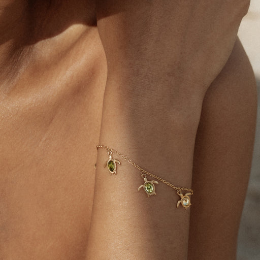 Paul Hewitt Turtle World Turtle Day Armkette Gold Tägliche Deals