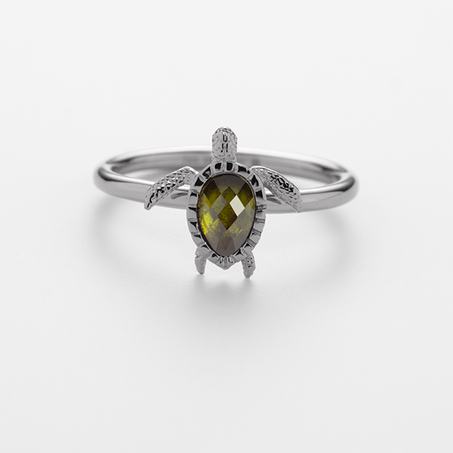 Paul Hewitt Turtle Ring Silber Angebote