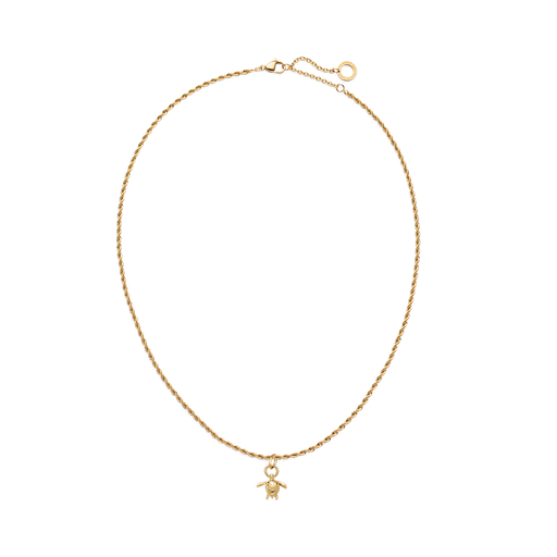 Paul Hewitt Set Turtle Charm und Halskette Gold Muttertagsangebot