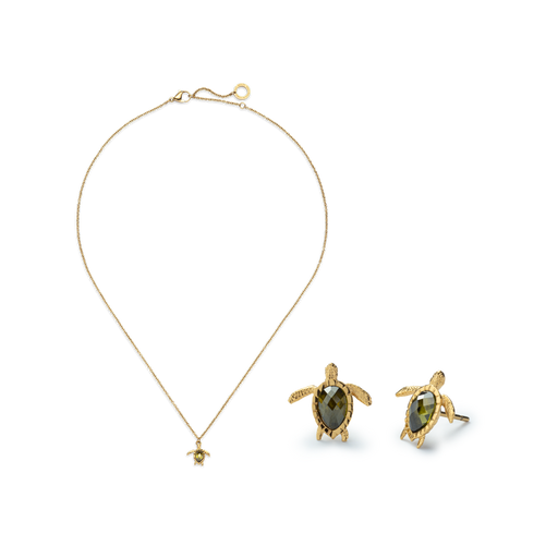 Paul Hewitt Set Turtle III Gold Riesige Ersparnisse