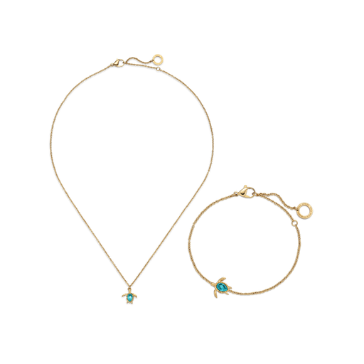 Paul Hewitt Set Turtle VI Gold Super Sparpreis