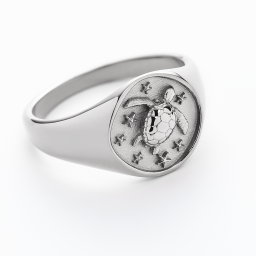 Paul Hewitt Turtle Signet Ring Silber Limitierter Zeitrabatt