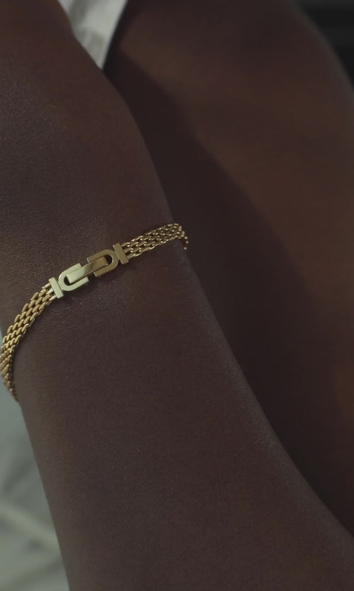 Paul Valentine Mesh Bracelet Letzte 3 Tage