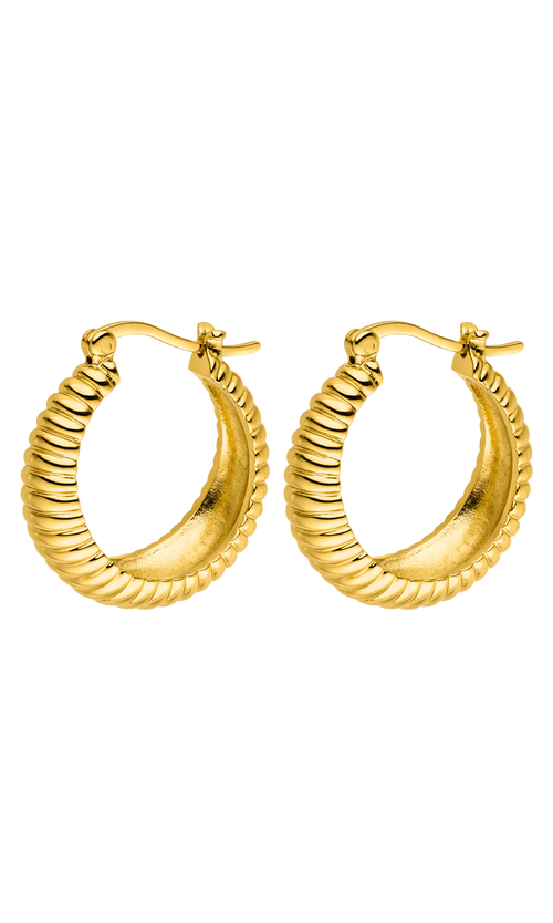 Paul Valentine Avenue Structure Hoops Online