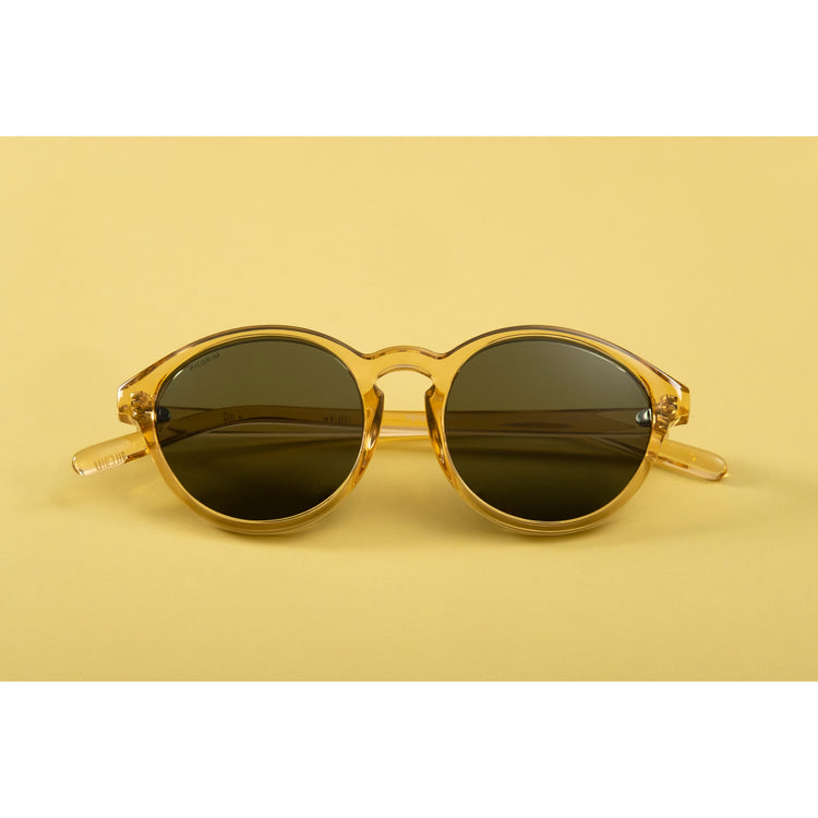 Pilgrim VASILIA Sonnenbrille transparent braun Fabrikpreis