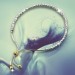 Silberdream SilberDream Armband Perlen diamantiert 925er Sterling Silber Damen SDA7004T Bis zu 50% Rabatt