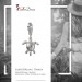 Silberdream SilberDream 925 Charm Seeschildkröte Armband Anhänger FC1002 Limitierter Zeitrabatt