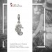 Silberdream SilberDream Charm Seepferdchen 925er Silber Armband Anhänger FC727I Nur für heute